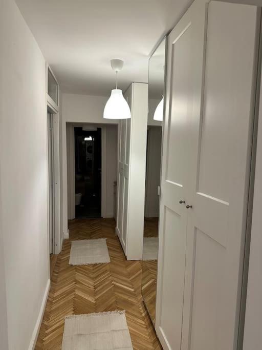 Simba Residence Timisoara Esterno foto